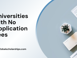 Online Universities With No Application Fee Options Available