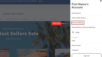 American Eagle In Store Purchase History Overview