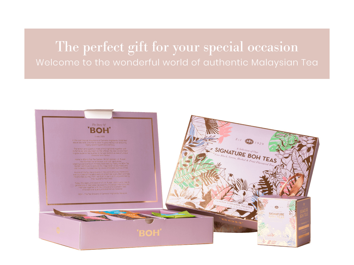 How to purchase boche Tea /Bochetea Lucky Draw #bochetea - YouTube How to purchase boche Tea /Bochetea Lucky Draw #bochetea - YouTube