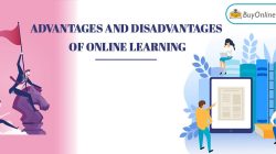 20 Advantages and Disadvantages of Online Learning
