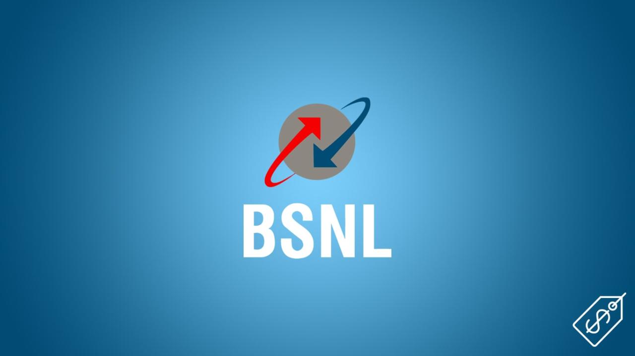 What is BSNL SIM Price - Hybrid Sim