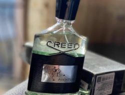 Best Job Portals Deals That Enhance Your Career Search