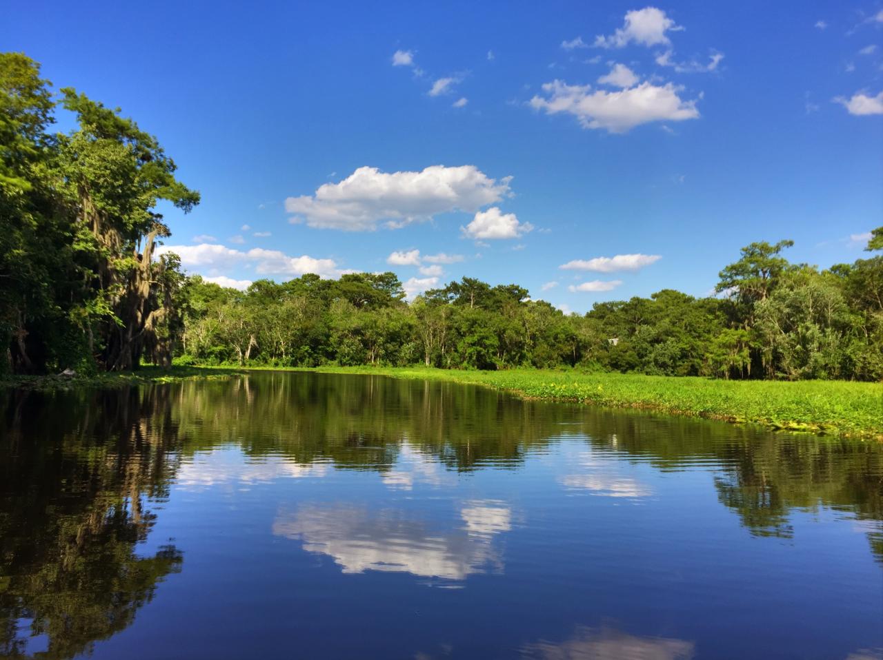 Volusia online learning