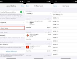 Apple in Store Purchase History Unveiled for Users