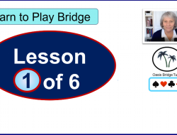 Learn Bridge Online A Pathway To Strategic Gaming