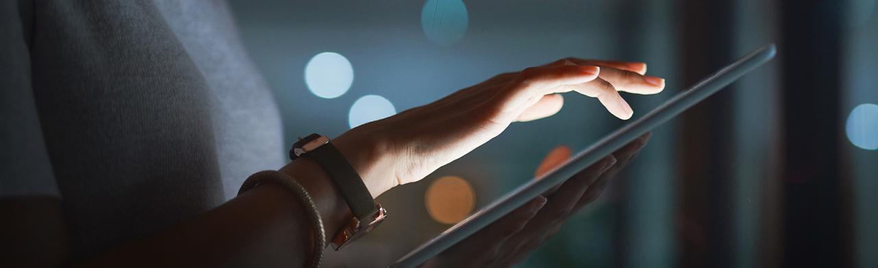 Controls application auditing ppt powerpoint presentation automated