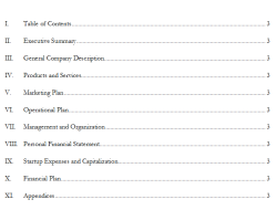 Business Plan Template For Successful Ventures