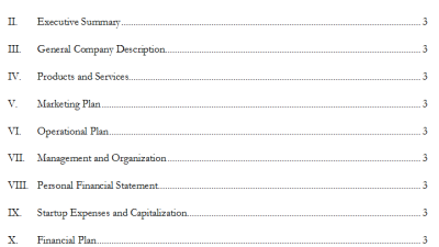 Business Plan Template For Successful Ventures