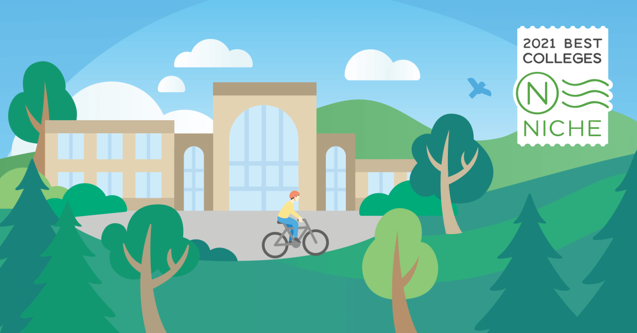 Online colleges with no application fee