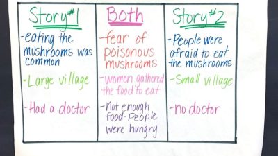 5 Compare and Contrast Essay Examples (Full Text) (2025)