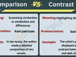 Compare job portals prices for effective employment