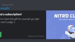 How to Send and Redeem Discord Nitro Codes