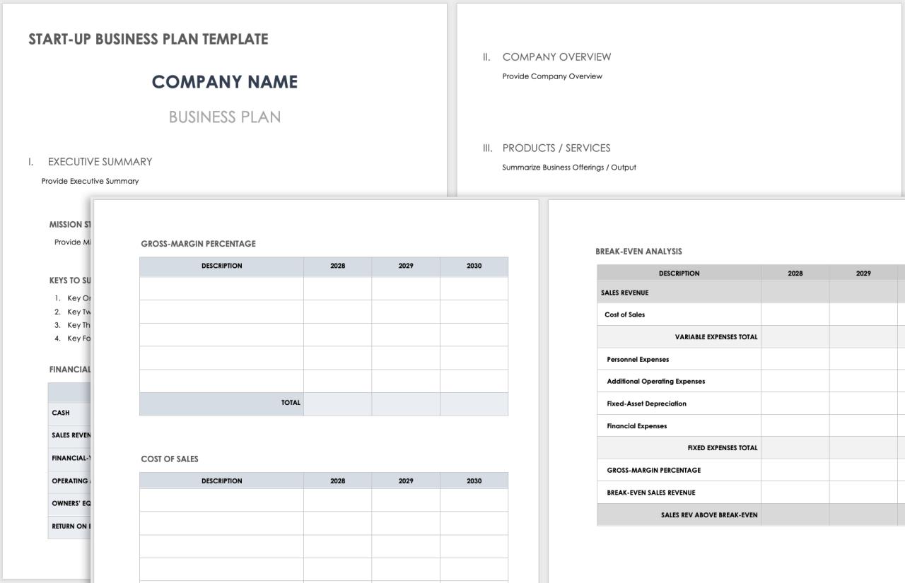 Business plan template