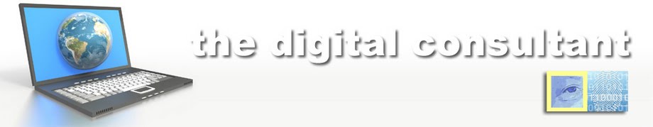 The Digital Consultant: The 2010 Asian Digital Marketing Association ...