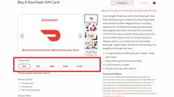 DoorDash Gift Card Christmas Gift Cards