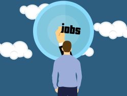 Job Portals For Beginners A Guide To Finding Jobs