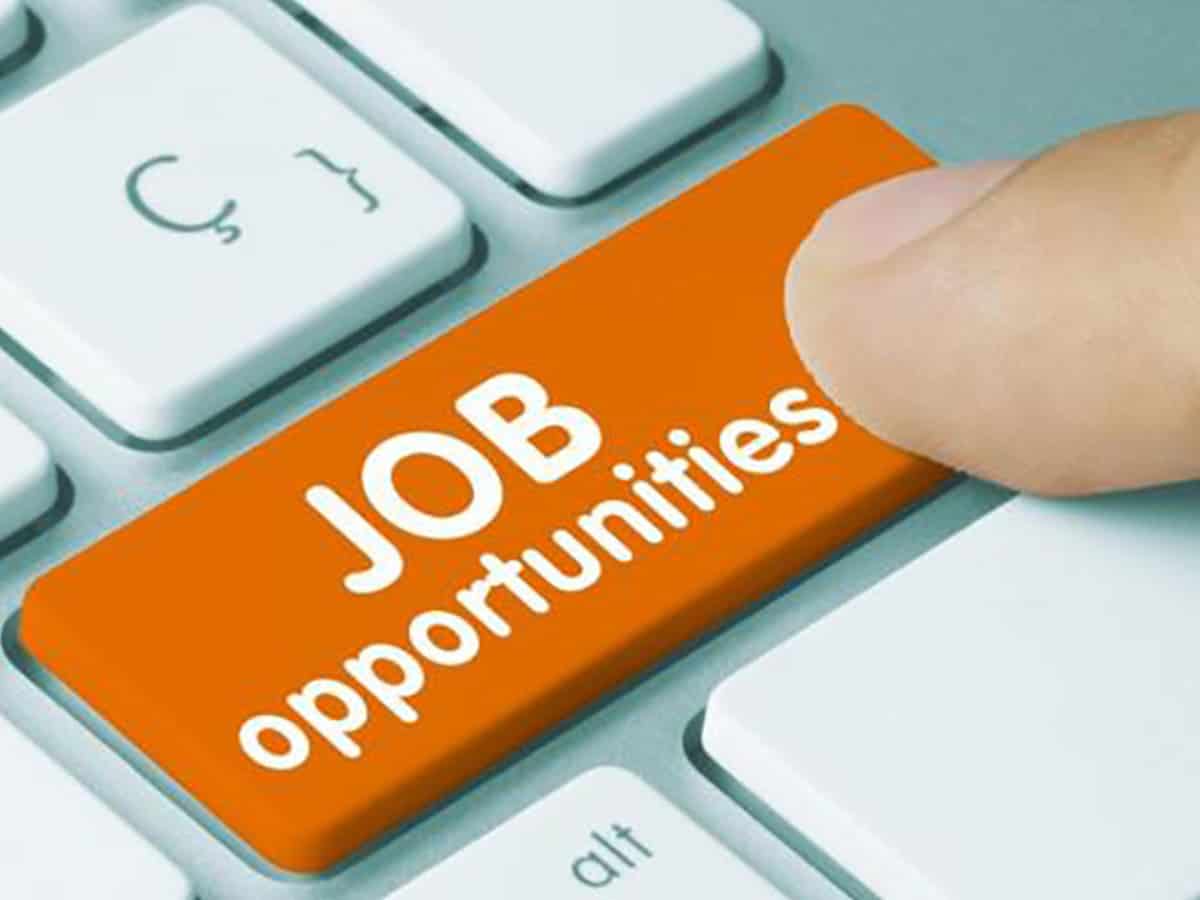 Job searches from abroad to India surge 60 pc amid thriving economy: Report Job searches from abroad to India surge 60 pc amid thriving economy: Report