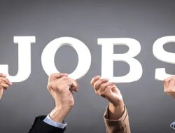 Job Portals Plans 2025 Shaping The Future Of Employment