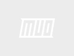 Online purchase crossword exploration and insights