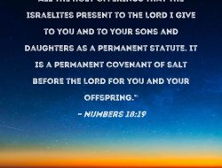 18 Wheeler Truck Accident Lawyer Navigating The Road To Justice