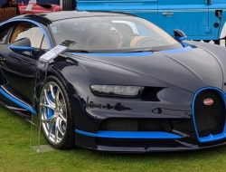 Auto Injury Attorneys Near Me Navigating Your Options