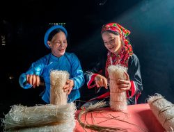 panel data Unveiling Its Layers and Impacts