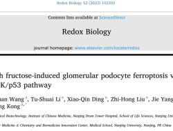 How To Get Best Car Insurance Quotes Made Easy