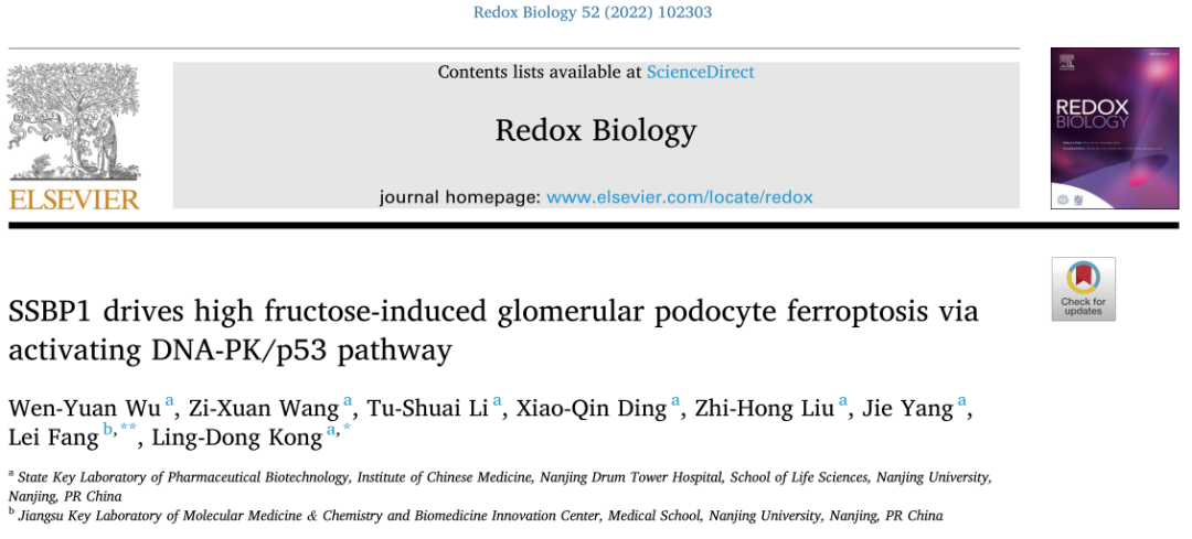 接口列表 | Apifox 帮助文档