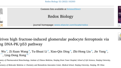 接口列表 | Apifox 帮助文档