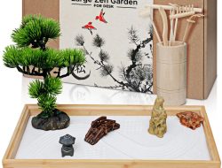 Zen Leaf Loyalty Points Benefiting Your Experience