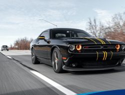 Cheap Car Insurance Quotes Made Easy For Everyone