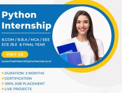 Internship In Software Development A Pathway To Success