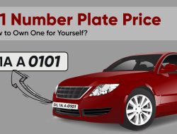 1 loyalty choice reward Unlocking Opportunities for You