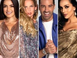 Truck Accident Lawyer Los Angeles Protecting Your Rights