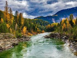 Montana Car Insurance Rates Gender Wont Affect Premiums