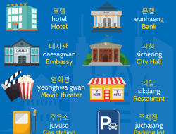 korean personal injury lawyer Navigating Legal Rights