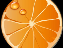 Orange County Truck Accident Lawyer Navigating Your Options