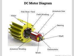 Motor Mount Replacement Ford Focus Essential Guide