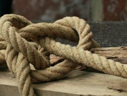 loyalty points 115 Insights into Translation Practices