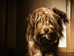 Loyalty Kac 50 Discount Offer For Valued Customers