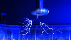 Amazon.co.jp: 南の島の便り: やぶれナイチャーの西表島生活誌 : 岩崎 魚介: Japanese Books