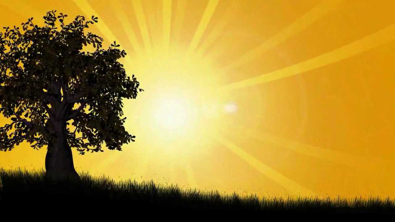 National Holocaust Day 2024 - Honor Laurene National Holocaust Day 2024 - Honor Laurene