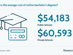 Highest Paying Online Degrees For A Successful Career