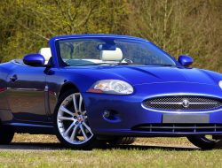 Auto Accident Attorneys In San Antonio Your Champions For Justice